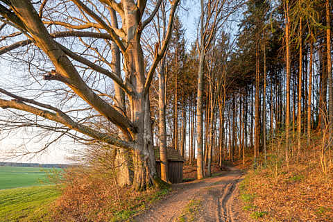 Gemeinde Reischach Landkreis Altötting Arbing Weiher Wald Hütte (Dirschl Johann) Deutschland AÖ